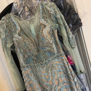 TERANI  COUTURE feathered embroidered Gown